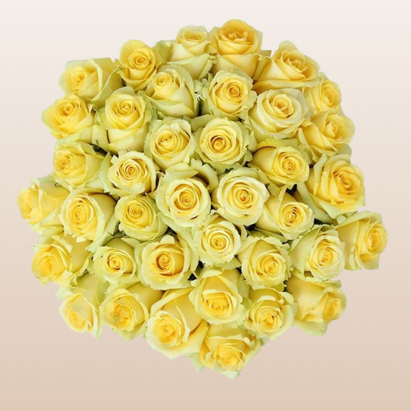 Skyline Rose Variety - EbloomsDirect