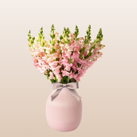 Snapdragon Light Pink