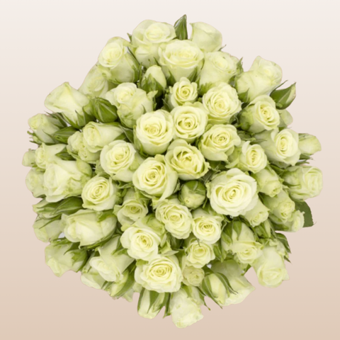 White Flake Roses Snow Flake White Spray Rose | Free Delivery Near Me - EbloomsDirect