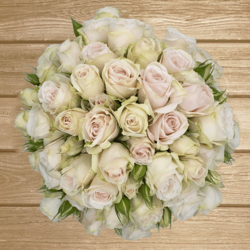 Soft Pink Spray Rose - EbloomsDirect – Eblooms Farm Direct Inc.