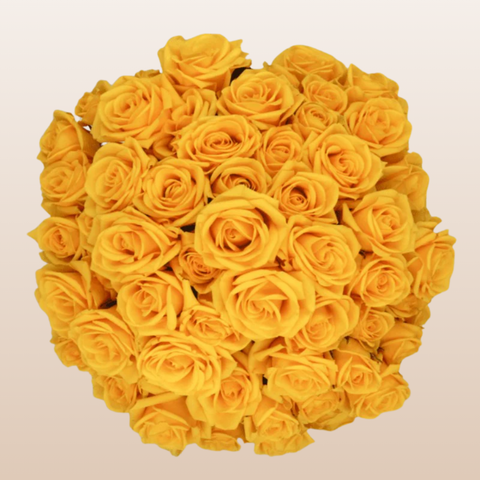 Somerset Yellow Spray Roses