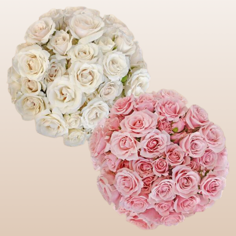 Spray Roses Duo White - Light Pink