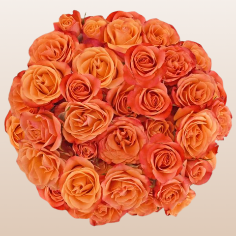 Spray Roses Orange
