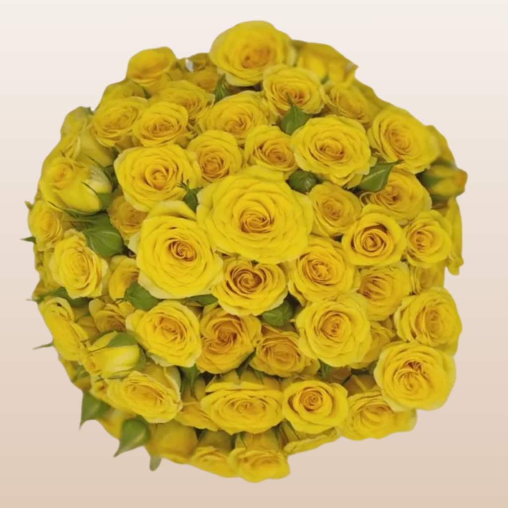 Spray Roses Yellow