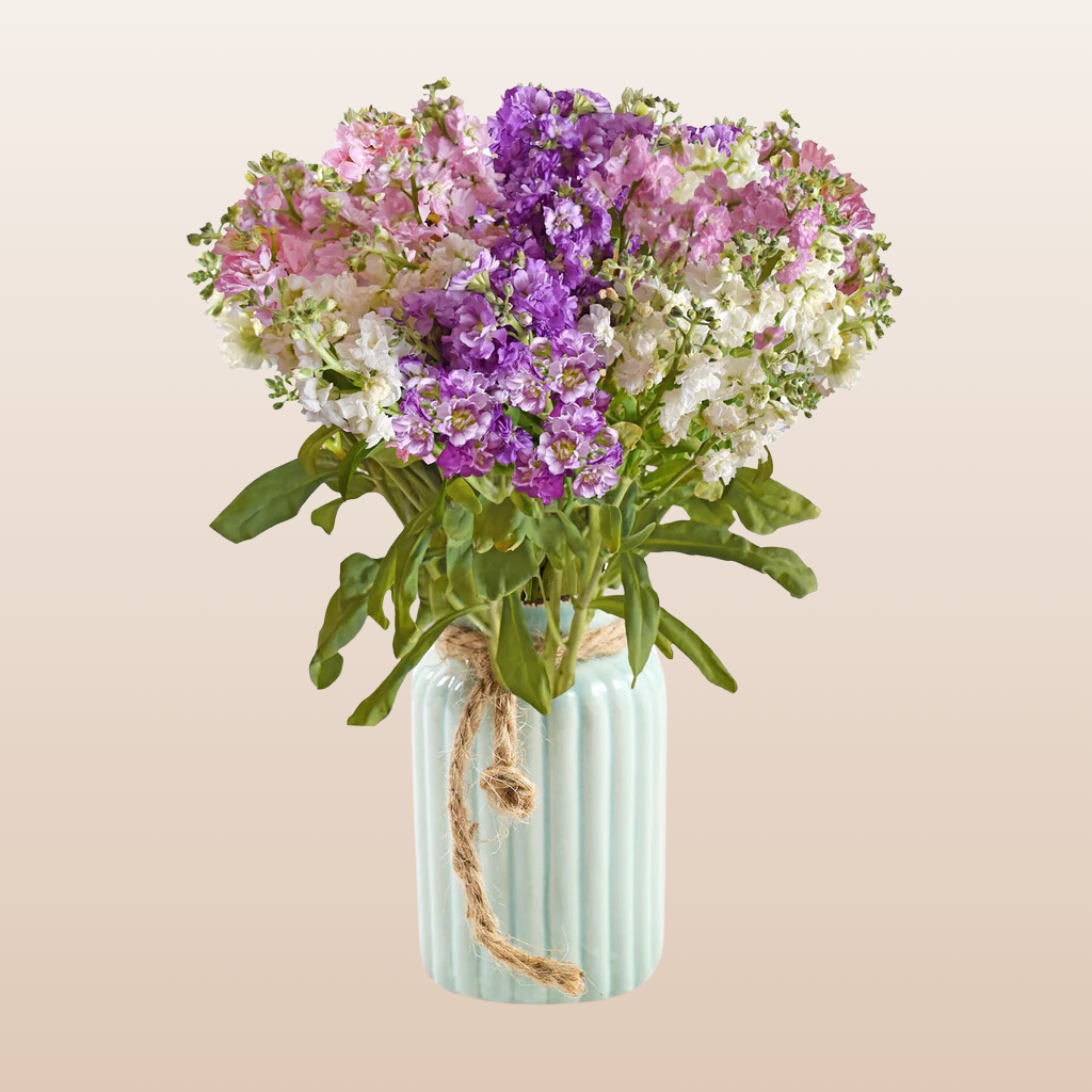 Spray Stock Assorted