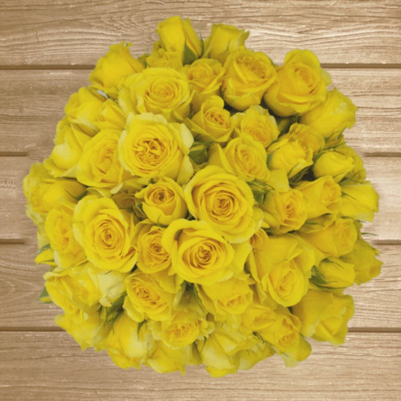 Sun City Yellow Spray Rose - EbloomsDirect