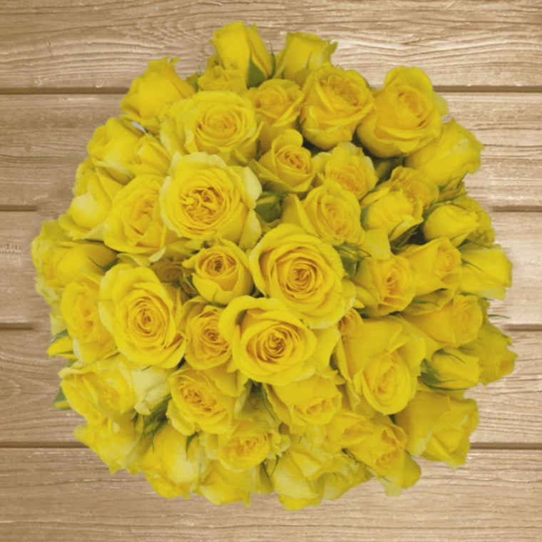 Suncity Yellow Spray Roses