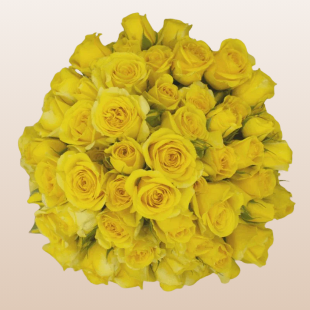 Suncity Yellow Spray Roses
