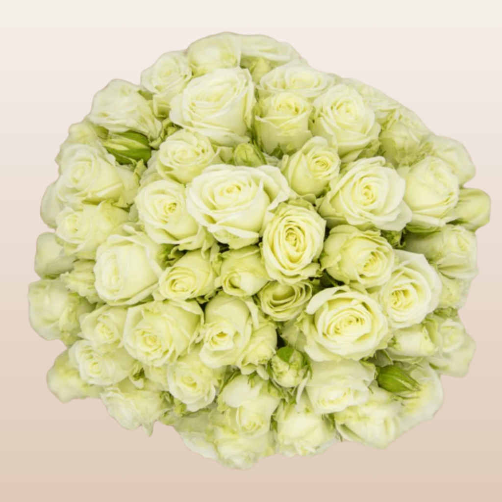 Sweet Dreams White Cream Spray Roses