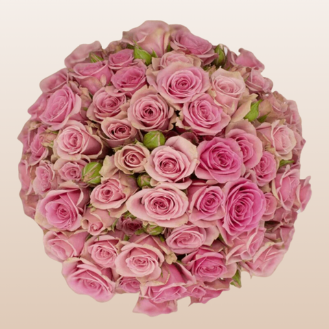 Sweet Sensation Medium Pink Spray Roses