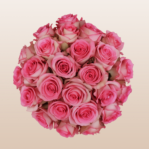 Bouquet of pink roses on a beige background