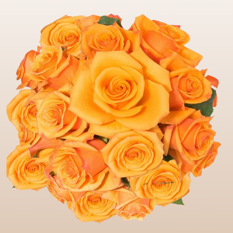 Tycoon Roses