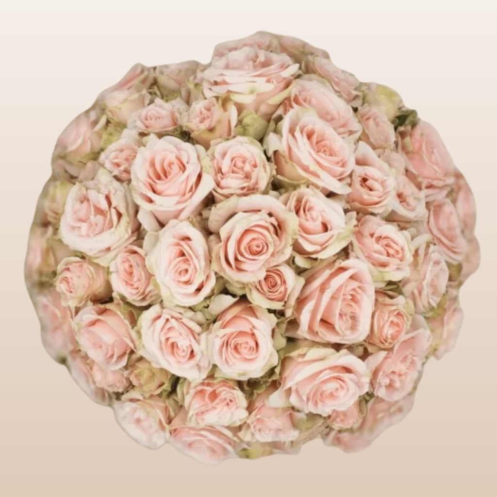 Wedding Sensation Light Pink Spray Roses