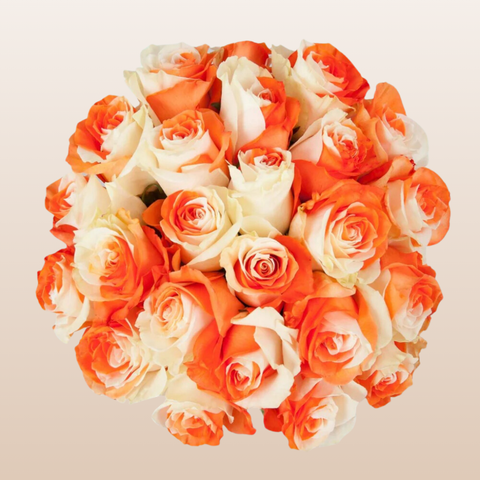 White - Orange Tinted Roses