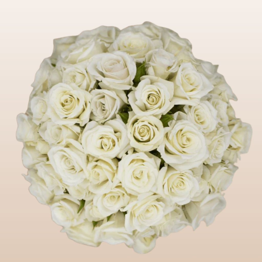 White Majolica Spray Roses