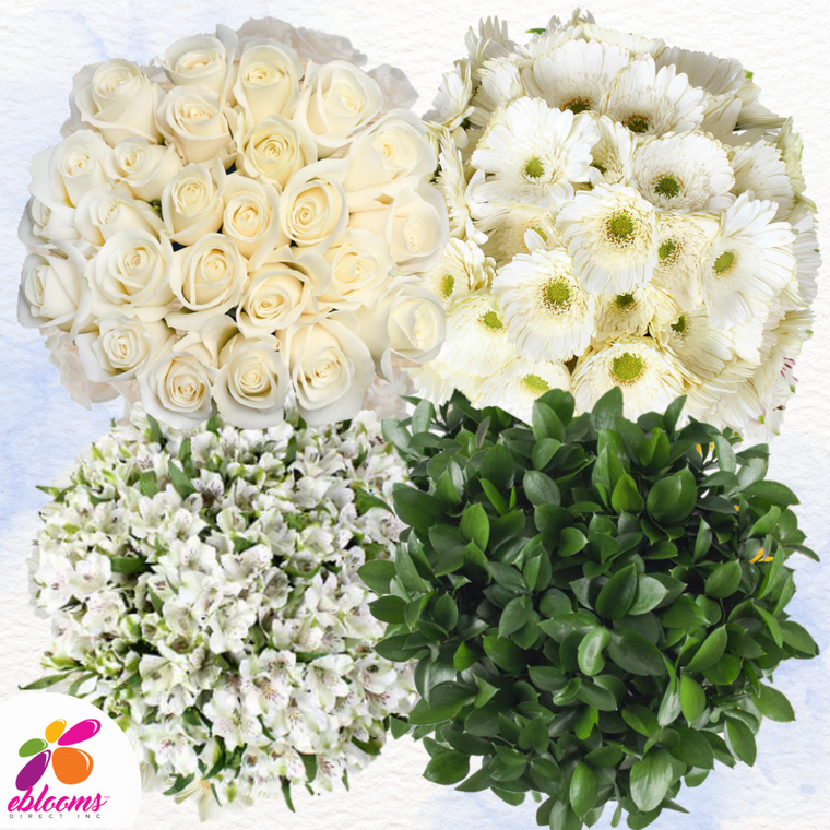 DIY Monochromatic Flower Combo Box #5 – Roses, Gerbera Daisies, Alstroemeria & Ruscus – 130 Stems – Multiple Colors