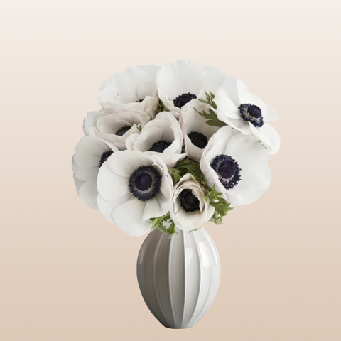 Anemones White Panda