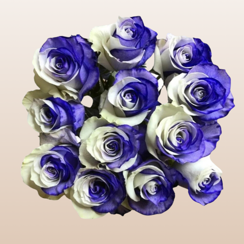 White and Purple Tinted Roses