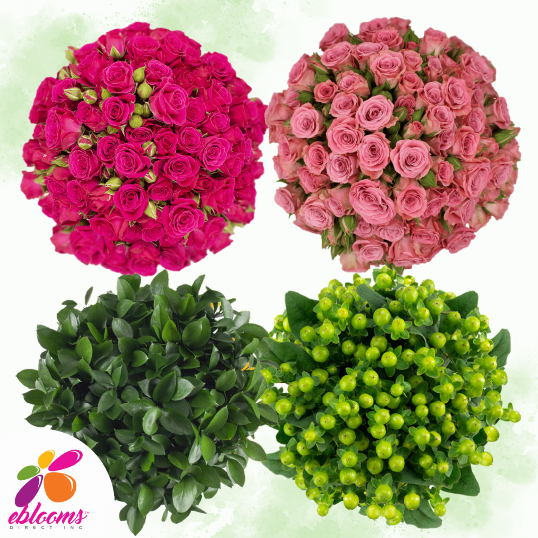 Combo Box 2 - Spray Roses Hot pink and light pink - Ruscus and Hypericum Green 
