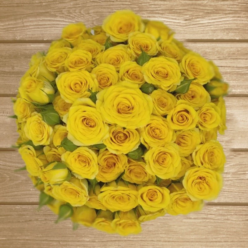 Yellow Babe Spray Rose - EbloomsDirect