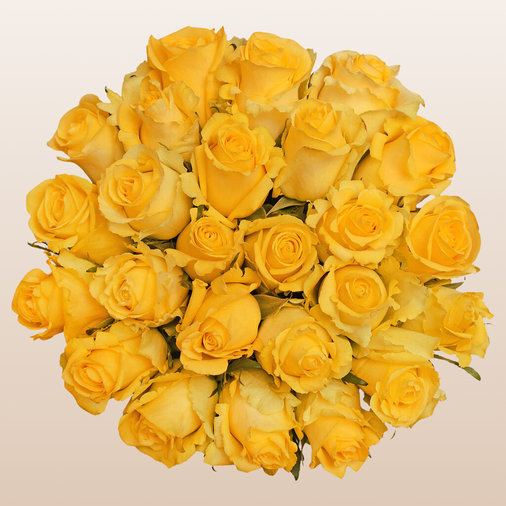 Yellow Roses