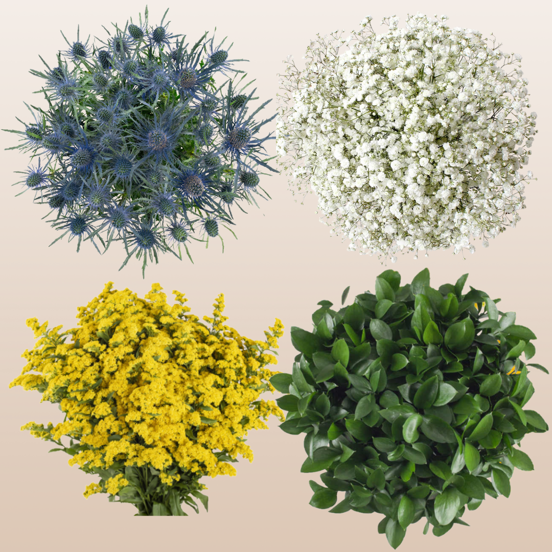 DIY Filler & Greenery Combo Box #3 - Babys Breath, Eryngium, Solidago & Ruscus -Pk 120 Stems