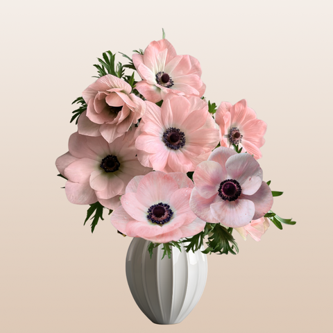 Anemones Light Pink Rosa Chiaro