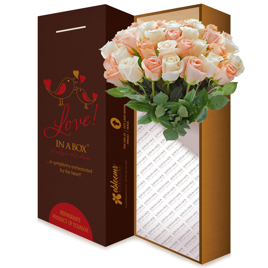 Love in a box 50 Roses Peach & White 50cm - Vase Included- EbloomsDirect