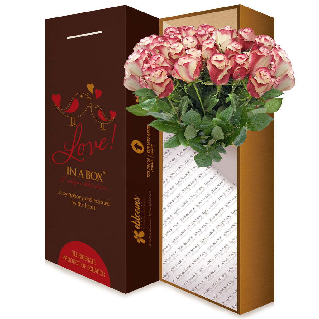 Bicolor Red Roses Long Stems for valentine's day 2020