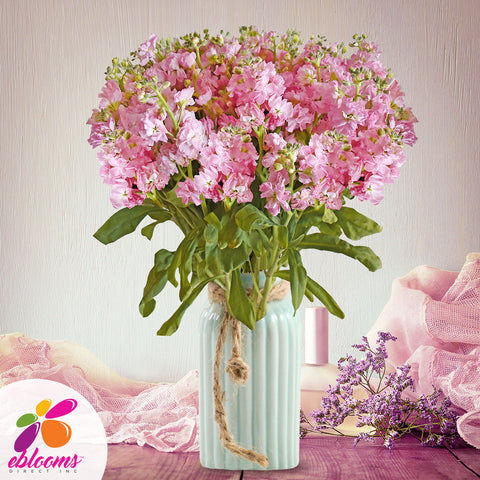 Spray Stock Light Pink