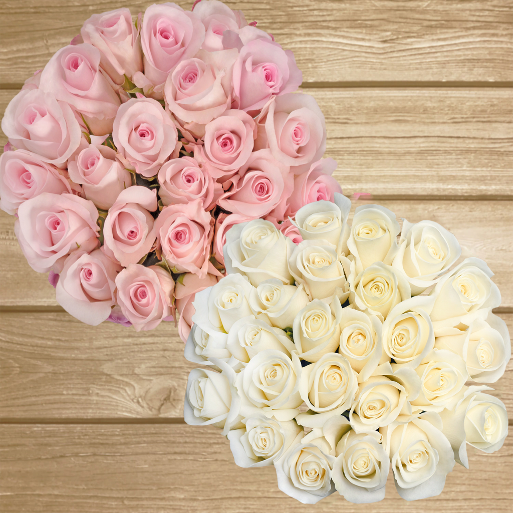 Pink online white rose