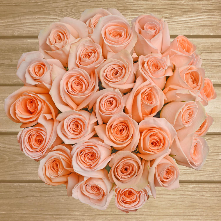 Roses Peach