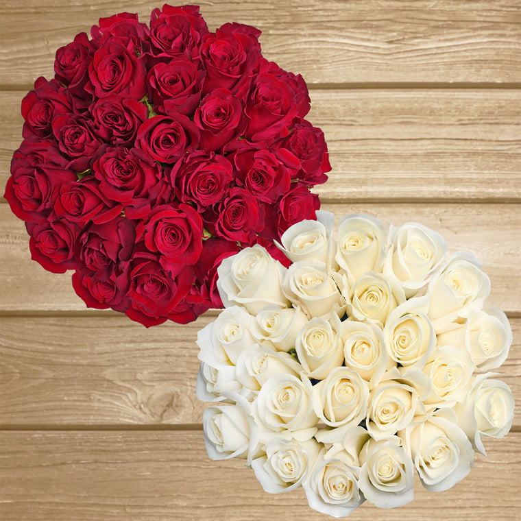 Bicolor White/Red Roses - EbloomsDirect – Eblooms Farm Direct Inc.
