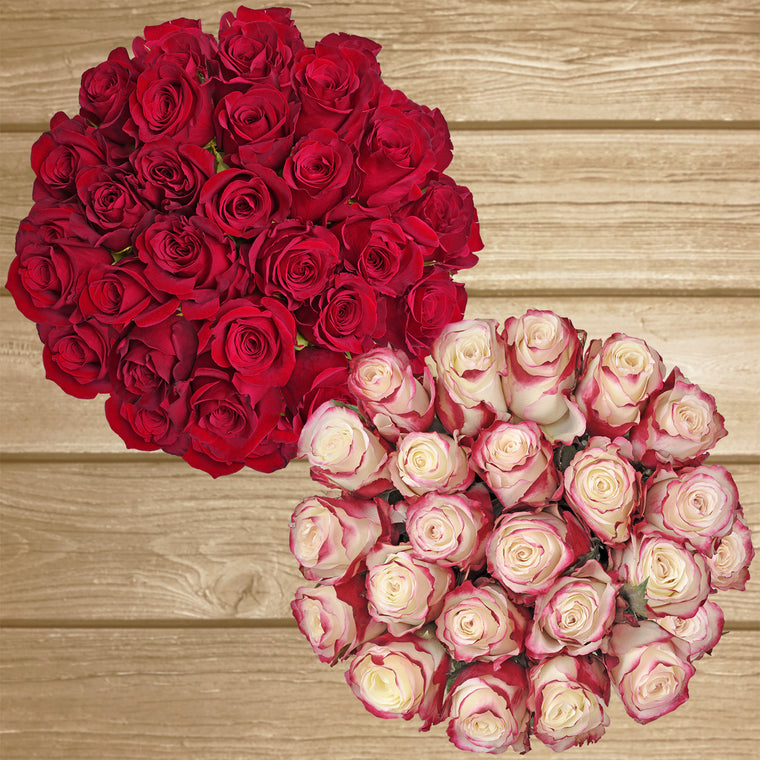 Duo Red - Bicolor White/Red Roses