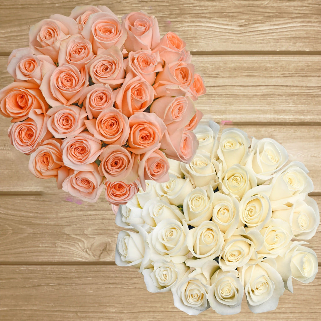 Roses  White and Peach