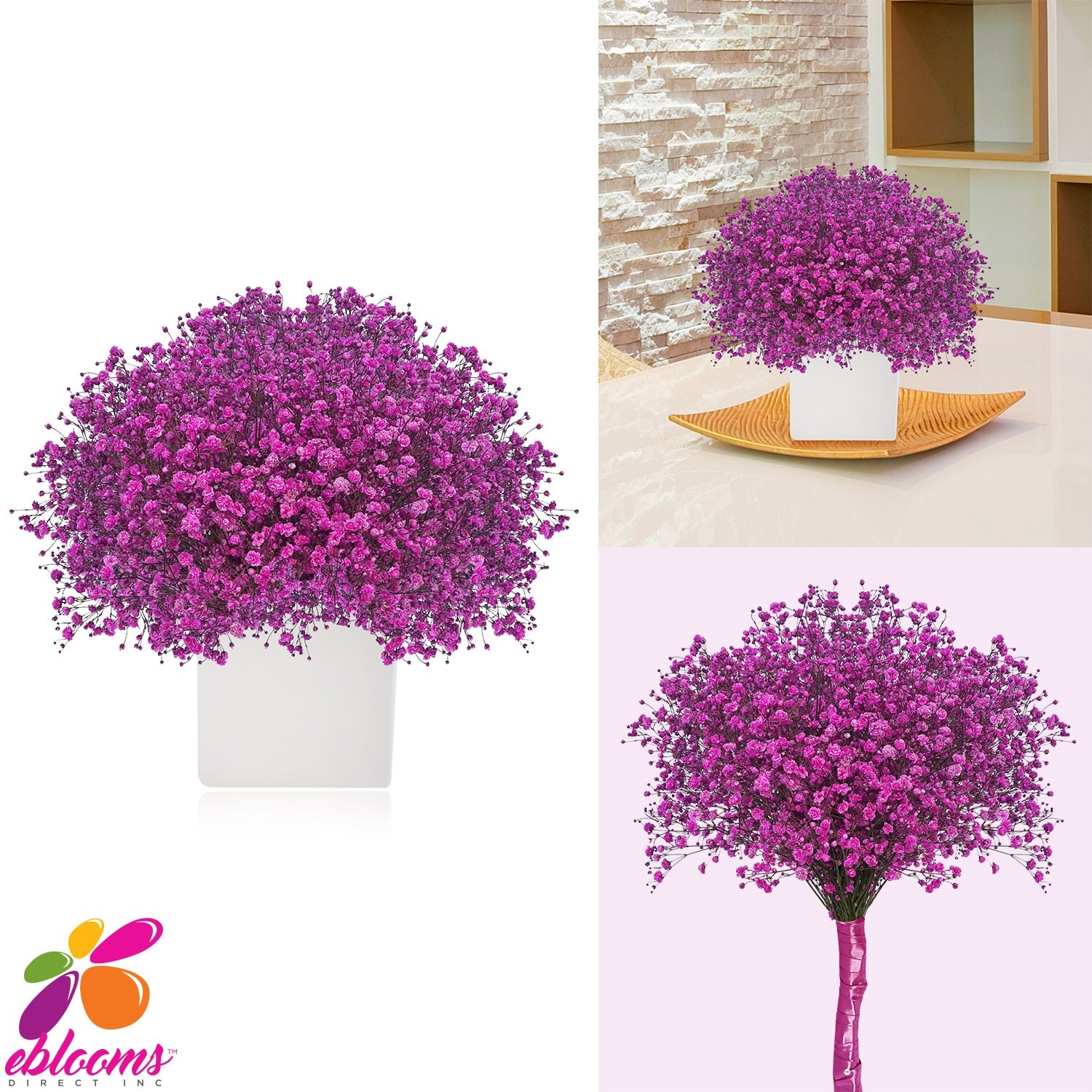 Baby's Breath Hot Pink  Fucsia Tinted
