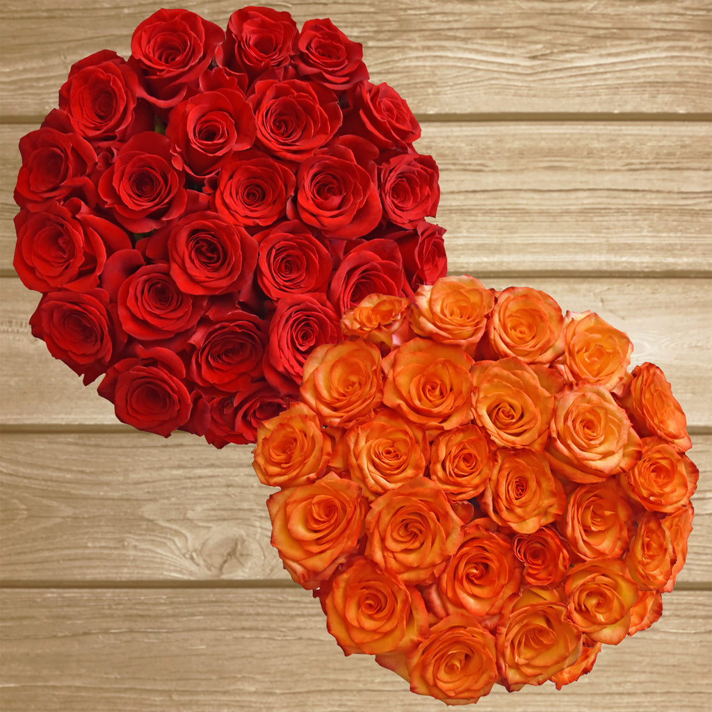 Roses Red and Bicolor Orange - EbloomsDirect