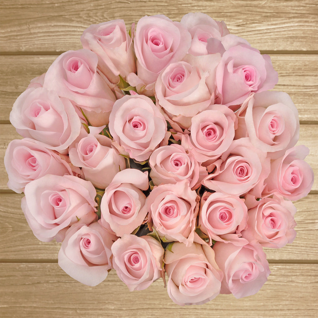 Light pink roses the best flowers arrangements centrpieces and bouquets to order online for any ocassion or wedding  and Valentine's day
