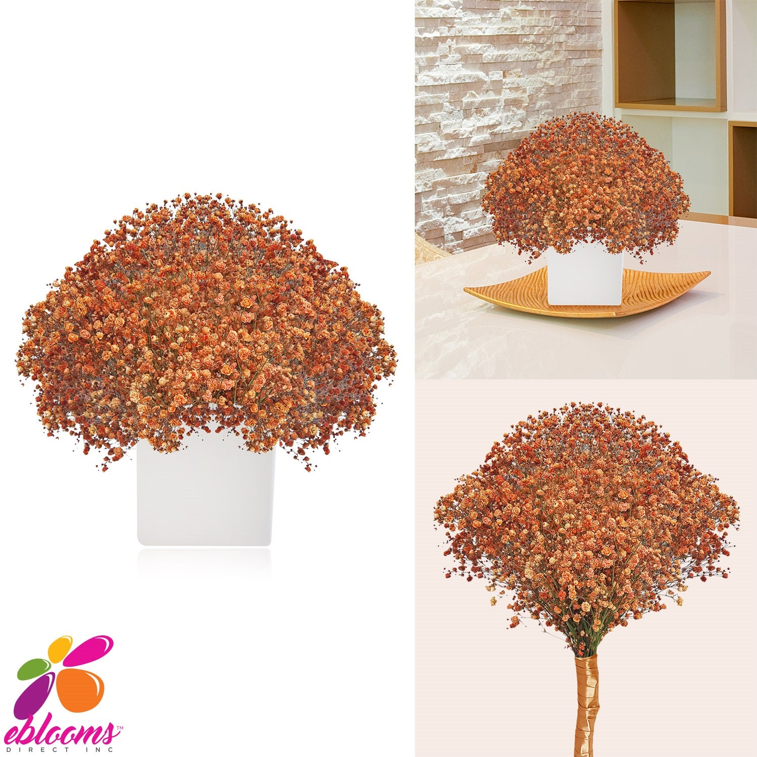 Baby's Breath Orange - EbloomsDirect