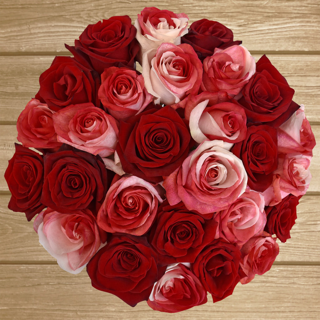 Best Bi-Color Rose Petals