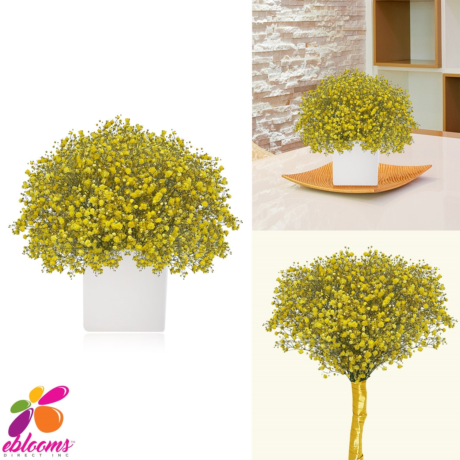 Baby's Breath Yellow Tinted