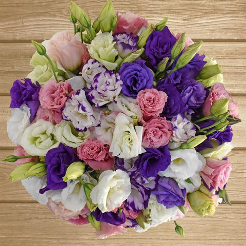 Lisianthus Assorted