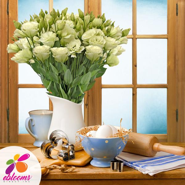 Lisianthus Green