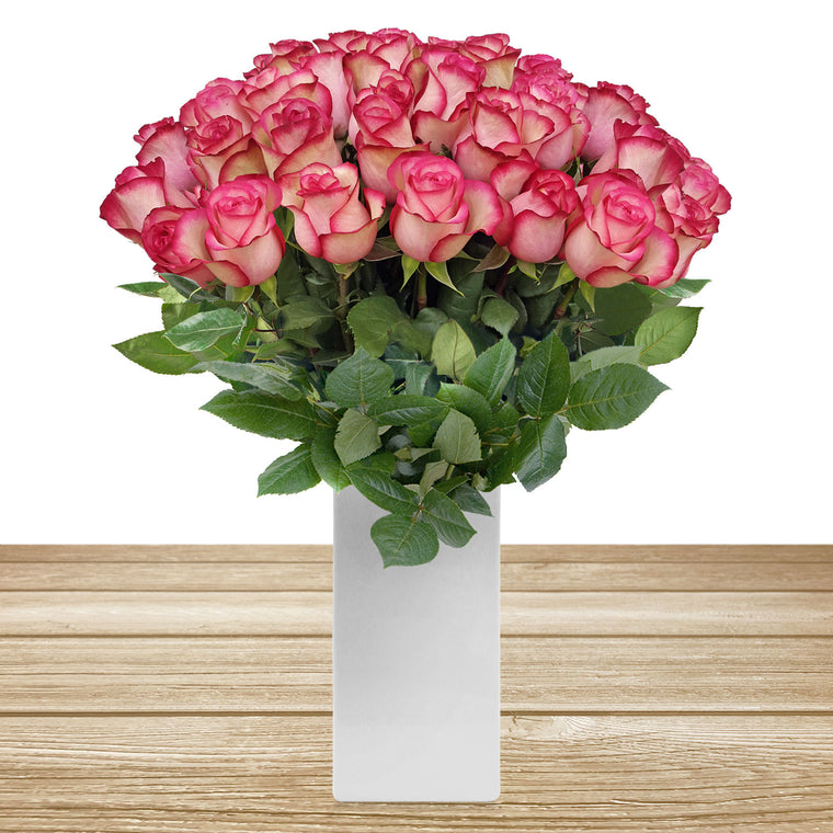 Roses Bicolor White & Pink 60cm Long Stems