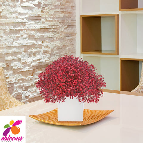 Baby's Breath tinted Red