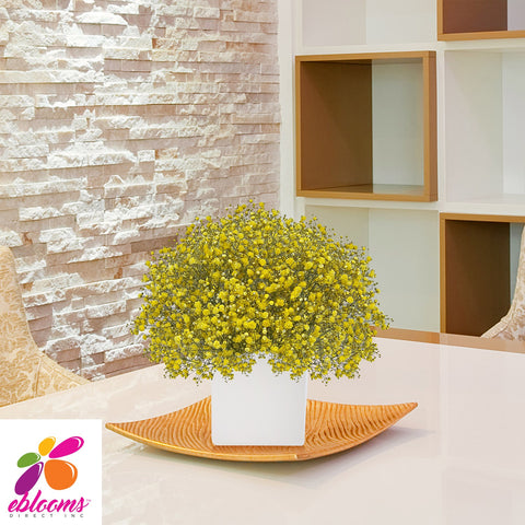 Baby's Breath Yellow Tinted