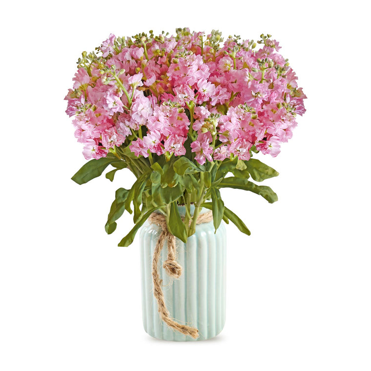 Spray Stock Light Pink Flowers Pack 50 Stems -EbloomsDirect