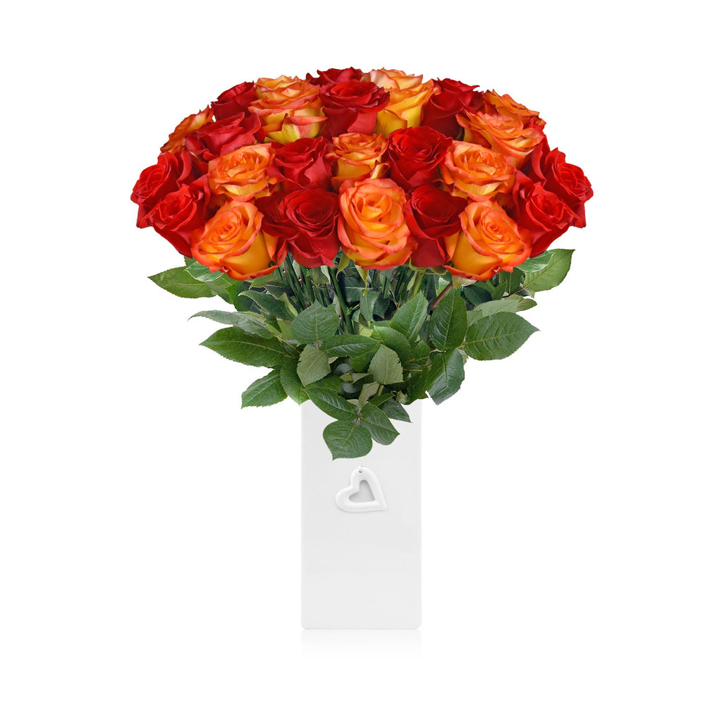 Roses Red and Bicolor Orange - EbloomsDirect