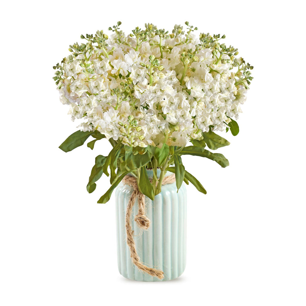 Spray Stock White Flowers Pack 50 Stems -EbloomsDirect