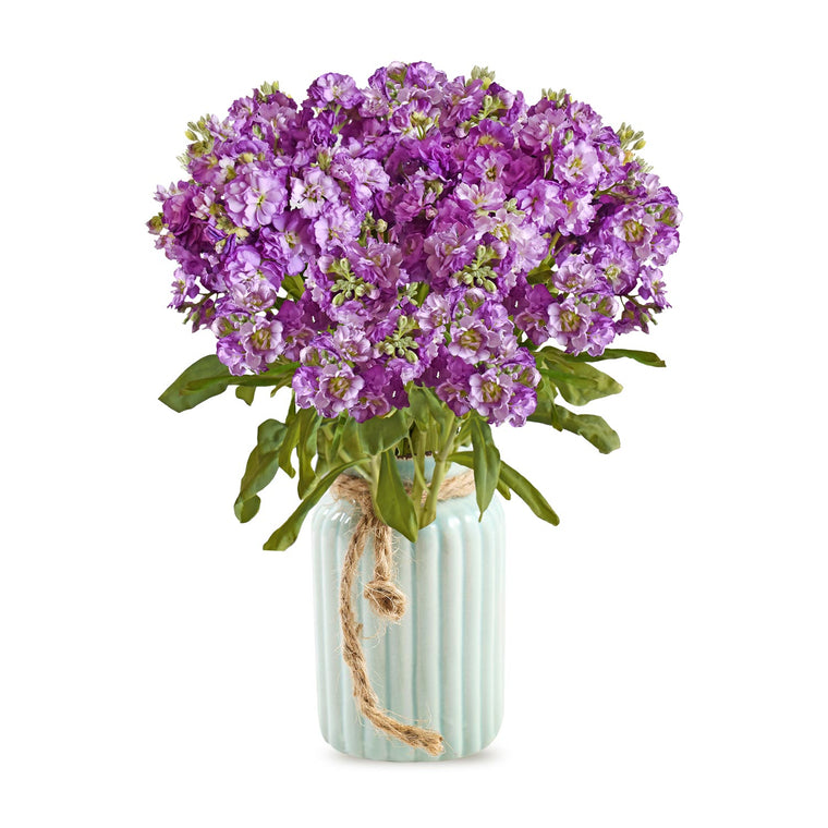 Spray Stock Light Purple Flowers Pack 50 Stems -EbloomsDirect